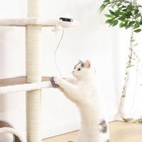 Electronic Motion Cat Toy