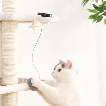 Electronic Motion Cat Toy