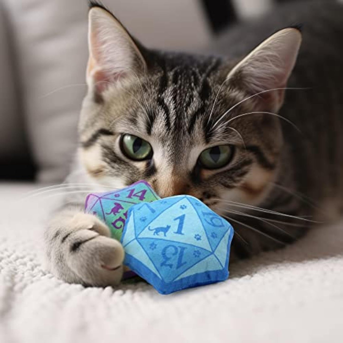 Dice Catnip Toy DND Cat Toy