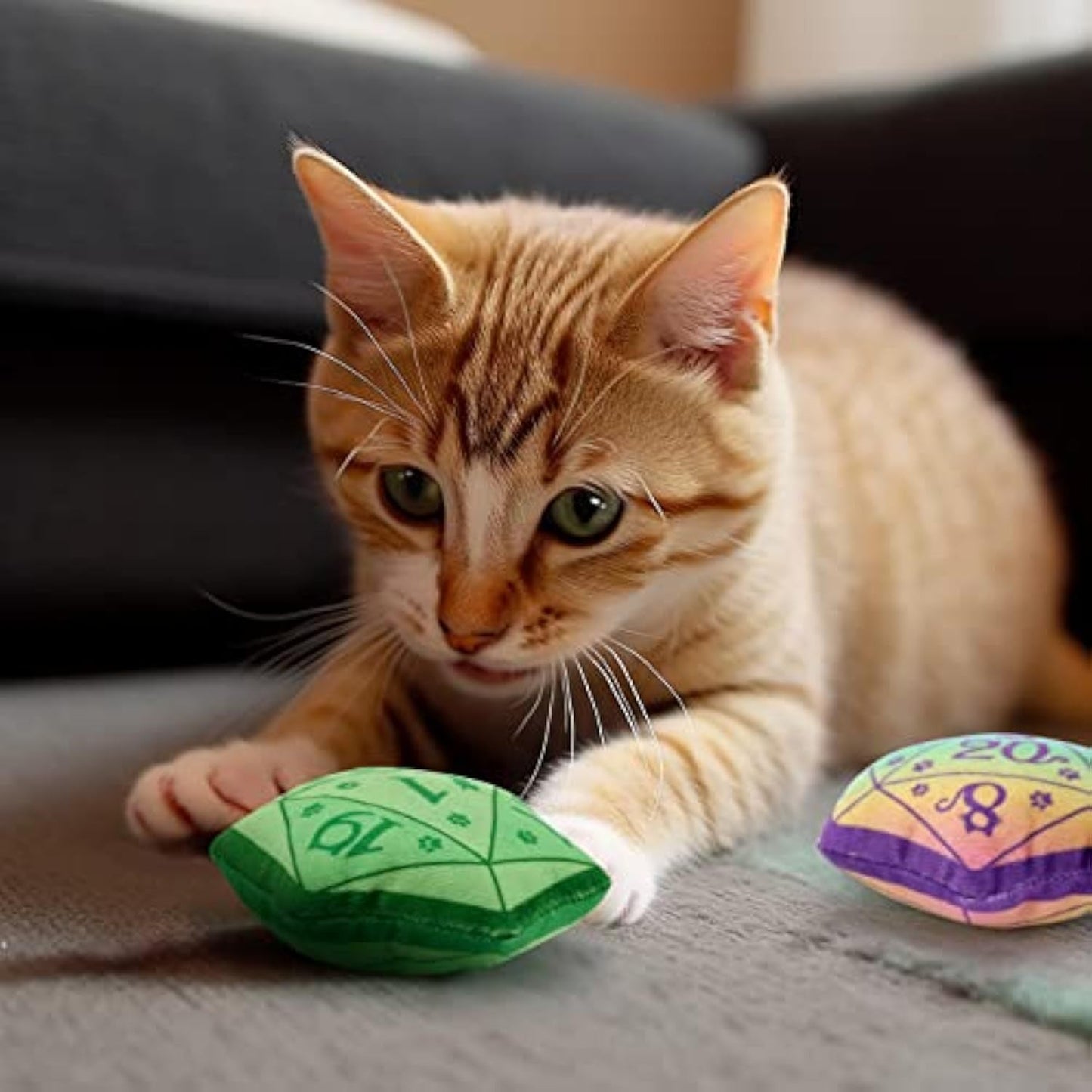 Dice Catnip Toy DND Cat Toy