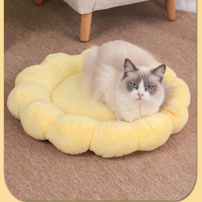 Multi Color Petal Dog Bed