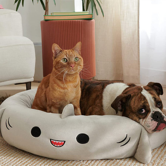 Super Soft Plush Bed